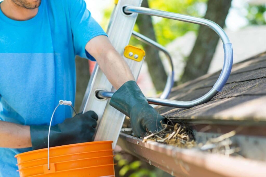 spring cleaning toronto